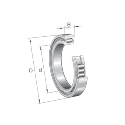 SL181852-E Full Complement Bearing